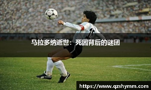 JDB电子官网