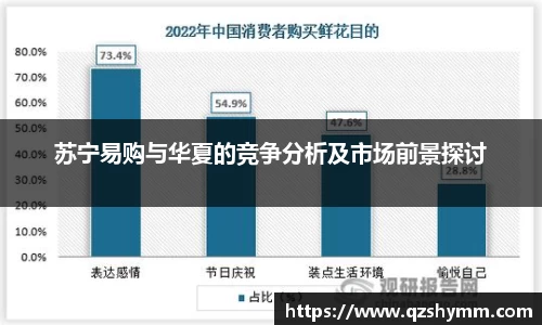 苏宁易购与华夏的竞争分析及市场前景探讨